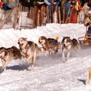 Chamrousse 1985