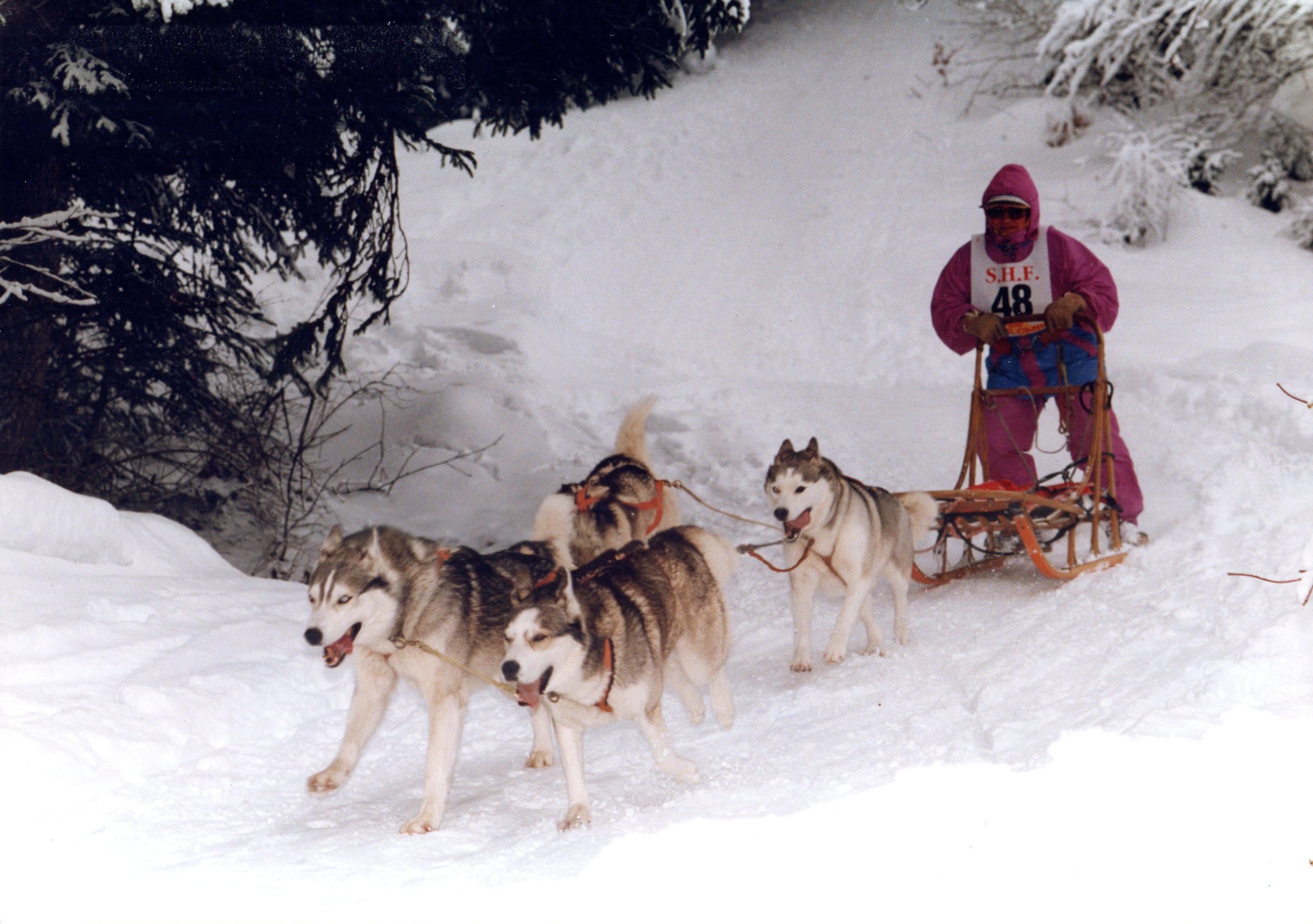 cuvery 1995