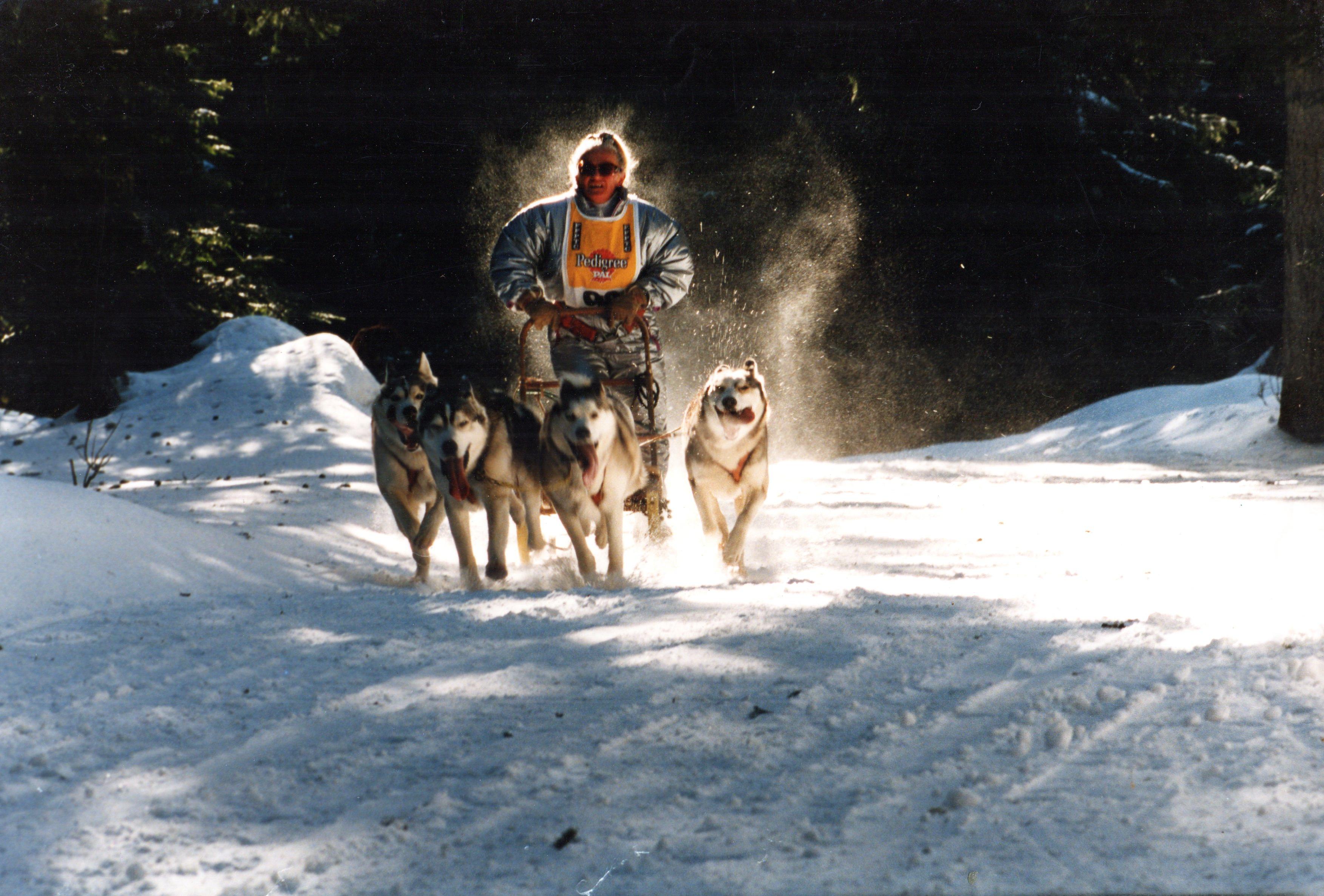 Sommand 1994