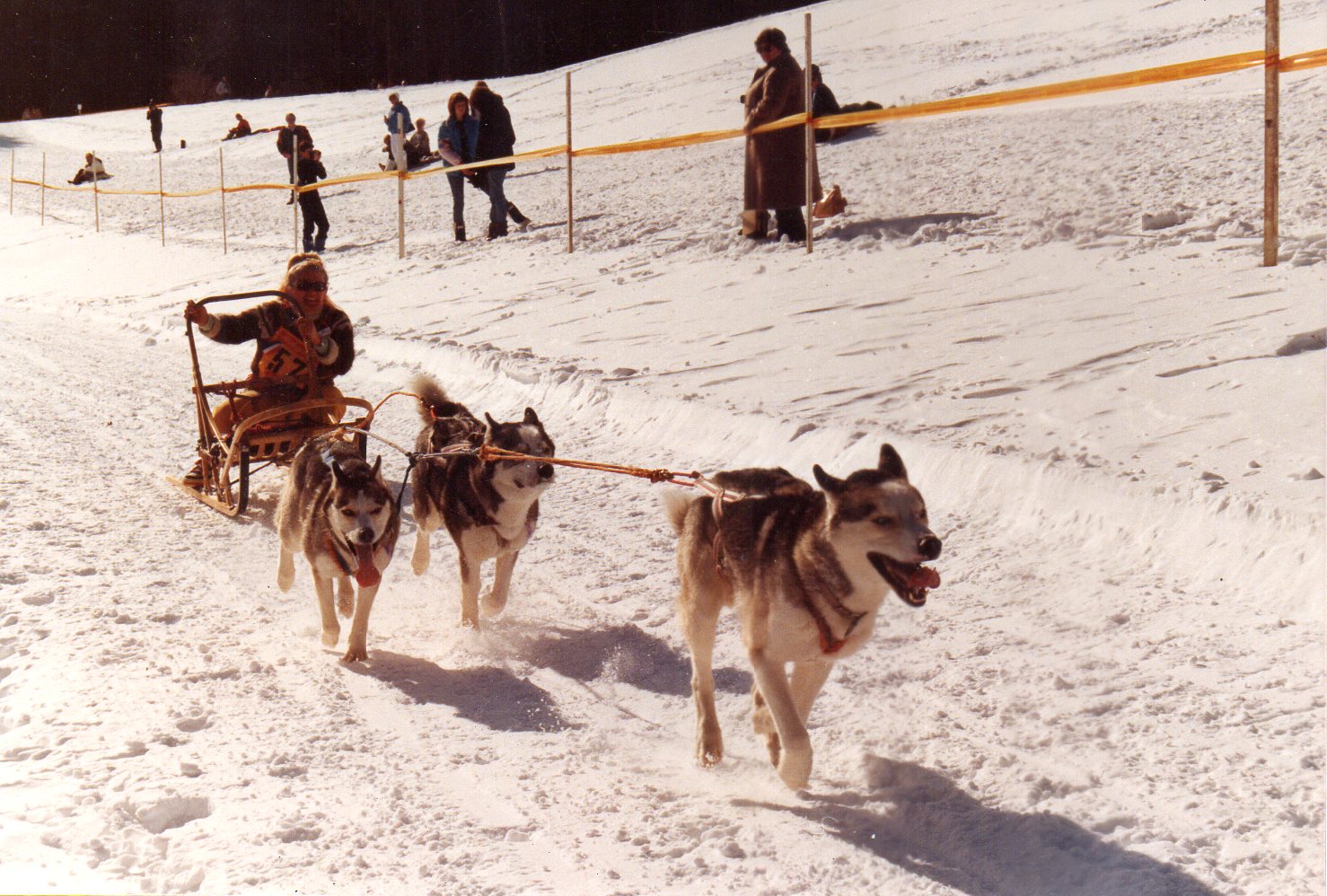 toodtmoos 1985 CE