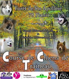 Affiche neauphle 2018 1