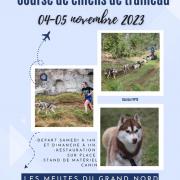 Affiche nesle normandeuse 2023