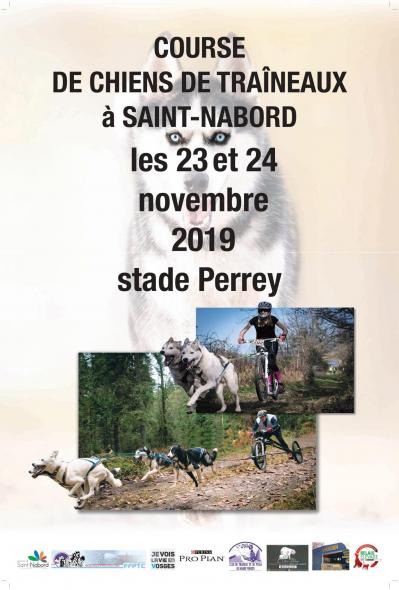 Bat v2 affiche saint nabord 2019 page 0001 compressor