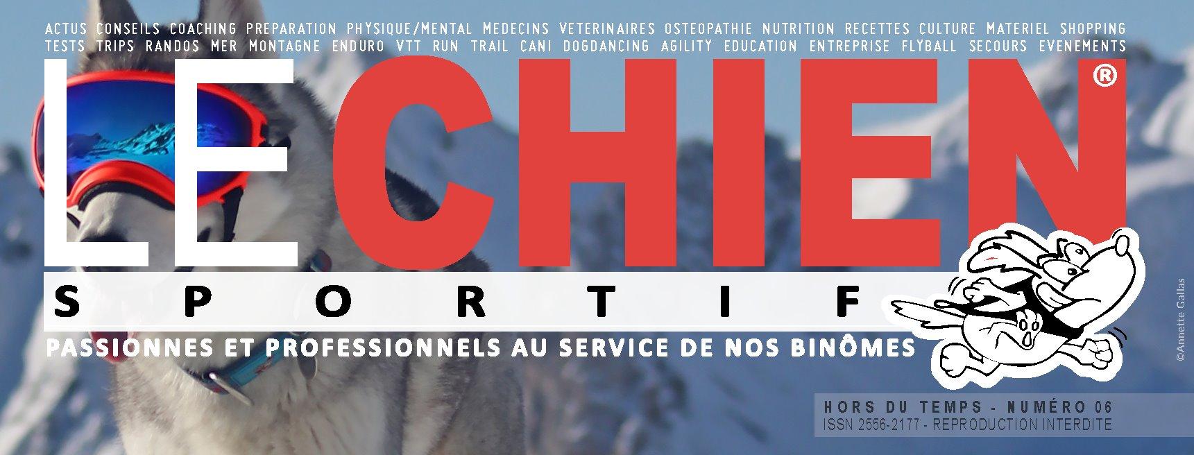 Chien sportif numero 6