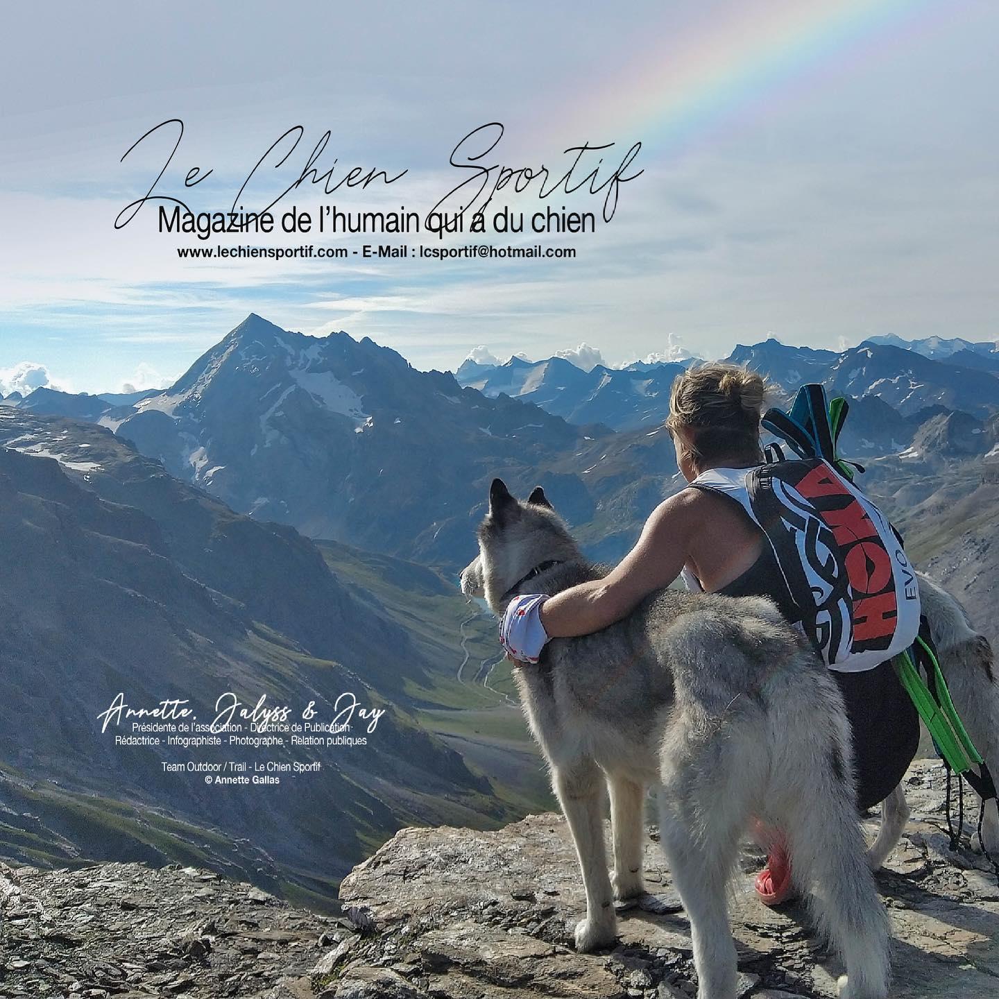 Le chien sportif carte visite
