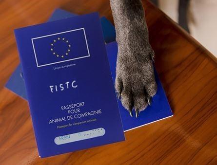 Passeport fistc